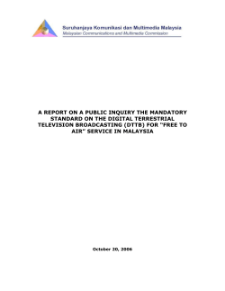 a report on a public inquiry the mandatory standard on the