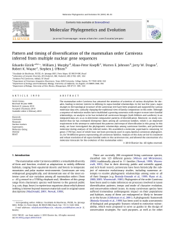 Pattern and timing of diversification of the mammalian order