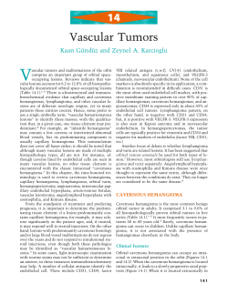 14 Vascular Tumors