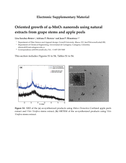 PDF-Document