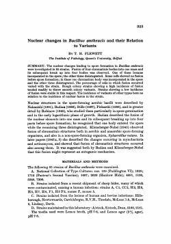 Nuclear changes in Bacillus anthracis and their