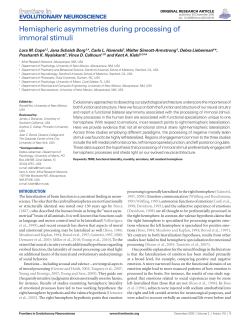 Hemispheric asymmetries during processing of