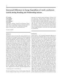 Intersexual Differences in Energy Expenditure of