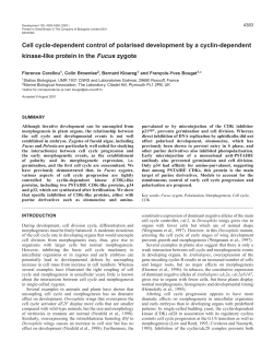 Polarity control in Fucus zygotes - Development