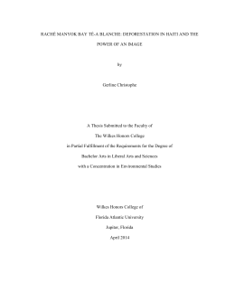 DEFORESTATION IN HAITI AND THE POWER OF AN IMAGE by