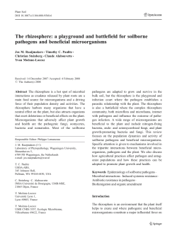 The rhizosphere: a playground and battlefield for soilborne