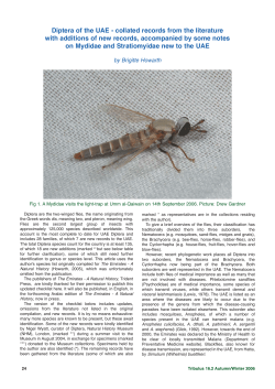 Diptera of the UAE - collated records from the literature with
