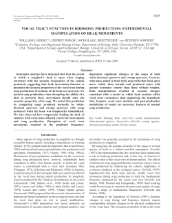 Vocal tract function in birdsong production: experimental