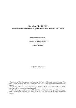 Does One Size Fit All? Determinants of Insurer Capital Structure