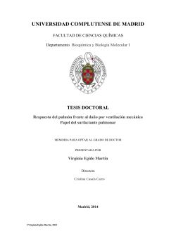 Introduction - E-Prints Complutense