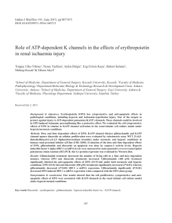 Role of atp-dependent k channels in the effects of