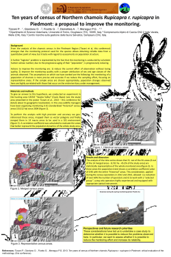 Presentazione standard di PowerPoint