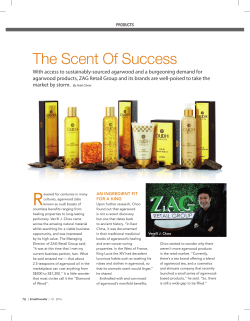 The Scent Of Success - ZAG Retail Group Limited
