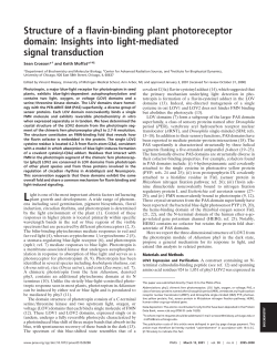 Structure of a flavin-binding plant photoreceptor domain: Insights