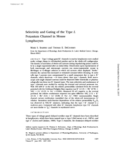 Selectivity and Gating of the Type L Potassium Channel in Mouse