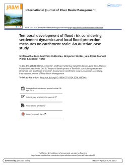 Temporal development of flood risk considering