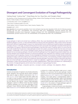 Divergent and Convergent Evolution of Fungal