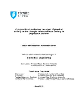 Computational analysis of the effect of physical activity on the