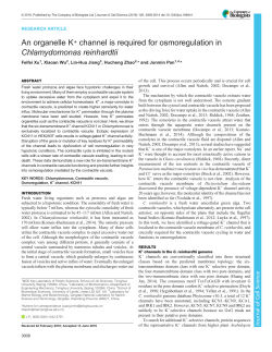 An organelle K+ channel is required for osmoregulation in