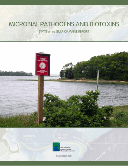 Microbial Pathogens and biotoxins - Gulf of Maine Council on the