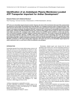 Identification of an Arabidopsis Plasma Membrane