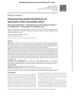 Characterizing spatial distributions of retinal astrocytes