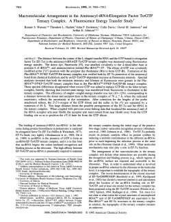 Macromolecular Arrangement in the Aminoacyl-tRNA
