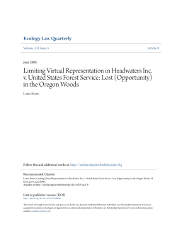 Limiting Virtual Representation in Headwaters Inc. v. United States