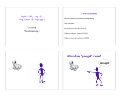 Lecture 8 Word meaning I