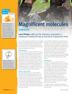 Magnificent molecules