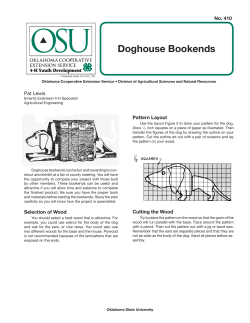 Doghouse Bookends - Oklahoma 4-H