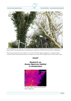 census of potential communal roosts of the house sparrow