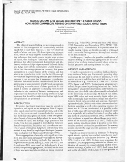 mating systems and sexual selection in the squid loligo