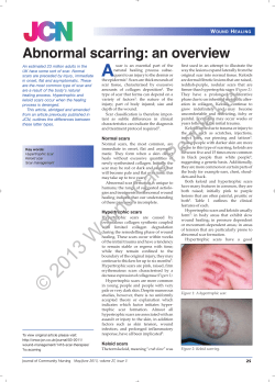 2013 Wound Care People Ltd - Journal of Community Nursing