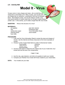 Model It - Virus - Circle