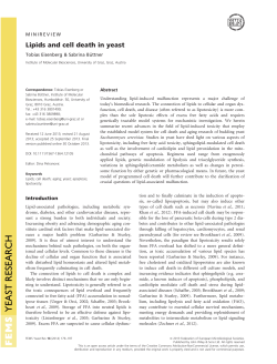 Lipids and cell death in yeast