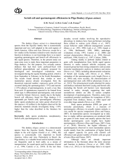 Sertoli cell and spermatogenic efficiencies in Pêga Donkey (Equus
