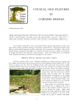 UNUSUAL OLD FEATURES IN CORNISH HEDGES