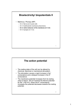 Biopotentials part II