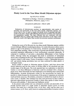 Ploidy Level in the True Slime Mould Didyrniurn