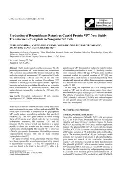 Production of Recombinant Rotavirus Capsid Protein VP7 from
