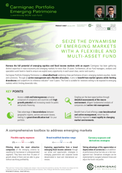 Seize the dynamiSm of emerging marketS with a