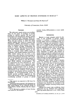 BASIC ASPECTS OF PROTEIN SYNTHESIS IN MUSCLE 1,2