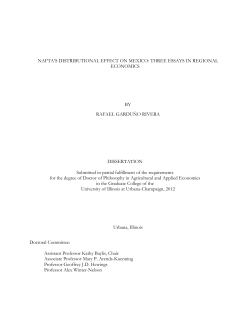 NAFTA`S DISTRIBUTIONAL EFFECT ON MEXICO: THREE ESSAYS