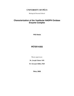 UNIVERSITY OF P&Eacute;CS Characterization of the Vestibular NADPH