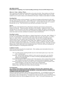 Instructions for Completing a Sea Turtle Stranding and Salvage