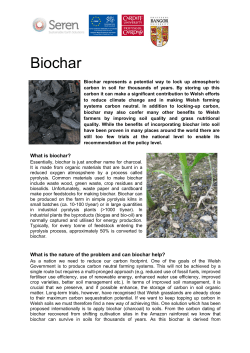 Biochar - Geoenvironmental Research Centre
