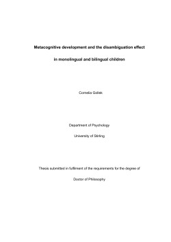 Metacognitive development and the disambiguation effect in