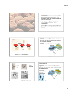 fungus - any of those plants without leaves, flowers or green coloring
