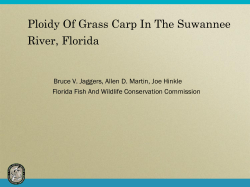 Ploidy Of Grass Carp In The Suwannee River
